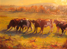 Cows